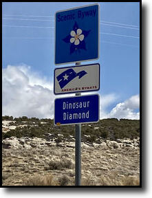 Dinosaur Diamond Sign